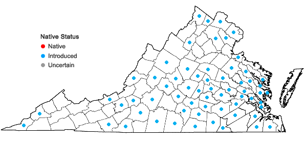 Locations ofLespedeza bicolor Turcz. in Virginia