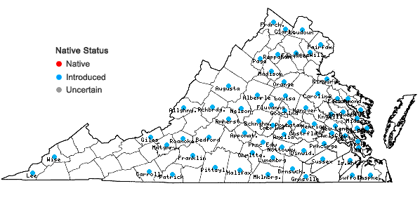 Locations ofLespedeza bicolor Turcz. in Virginia