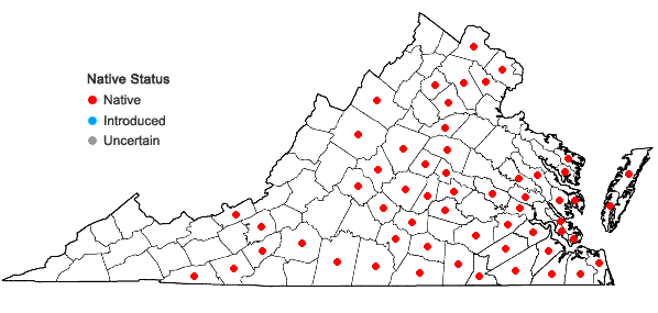 Locations ofLespedeza capitata Michx. in Virginia