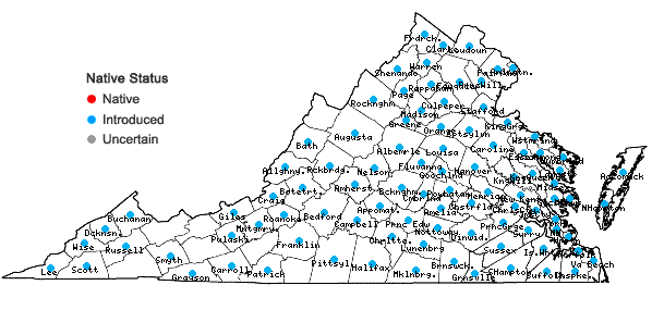 Locations ofLespedeza cuneata (Dum.-Cours.) G. Don in Virginia