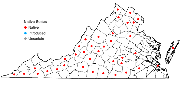 Locations ofLespedeza frutescens (L.) Ell. in Virginia