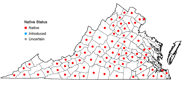 Locations ofLespedeza hirta (L.) Hornemann var. hirta in Virginia