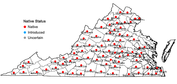 Locations ofLespedeza hirta (L.) Hornemann var. hirta in Virginia