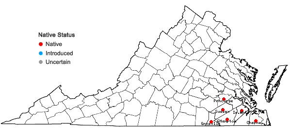 Locations ofLespedeza hirta (L.) Hornemann var. curtissii (Clewell) Isely in Virginia