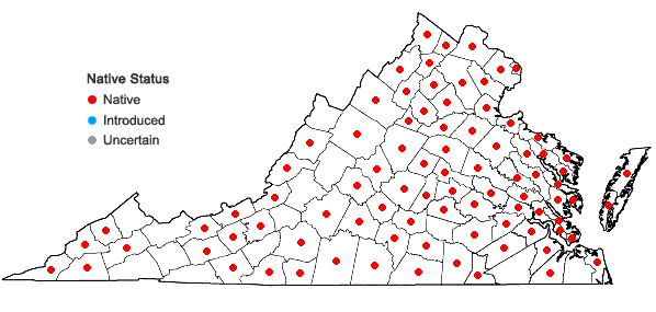 Locations ofLespedeza procumbens Michx. in Virginia