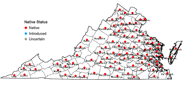 Locations ofLespedeza procumbens Michx. in Virginia