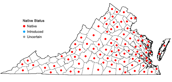 Locations ofLespedeza repens (L.) W. Bart. in Virginia