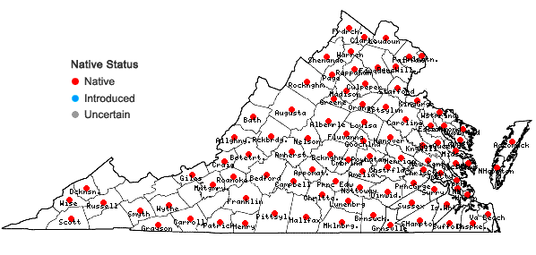 Locations ofLespedeza repens (L.) W. Bart. in Virginia