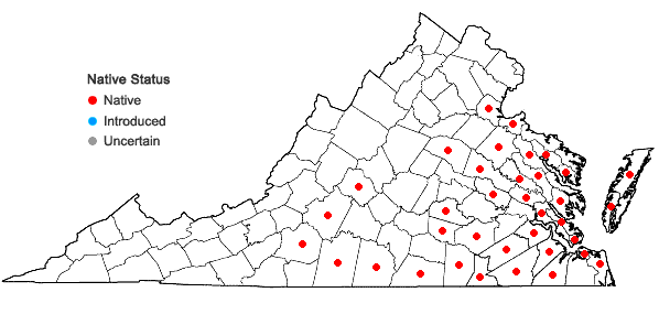 Locations ofLespedeza stuevei Nutt. in Virginia