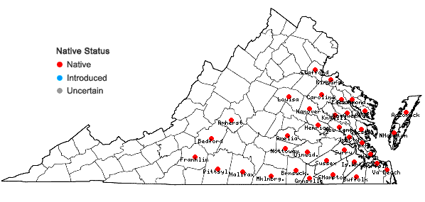 Locations ofLespedeza stuevei Nutt. in Virginia