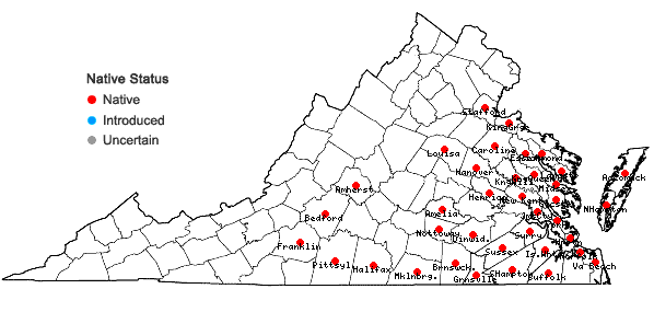 Locations ofLespedeza stuevei Nutt. in Virginia