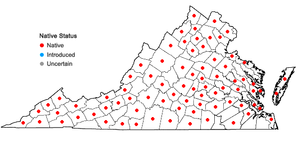 Locations ofLespedeza violacea (L.) Pers. in Virginia