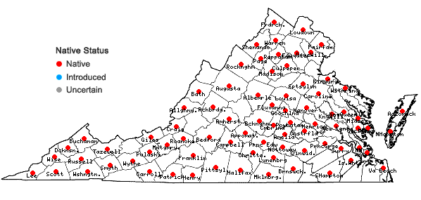 Locations ofLespedeza violacea (L.) Pers. in Virginia