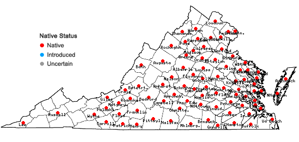 Locations ofLespedeza virginica (L.) Britt. in Virginia