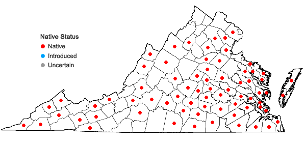 Locations ofLeucobryum albidum (Brid. ex P. Beauv.) Lindb. in Virginia