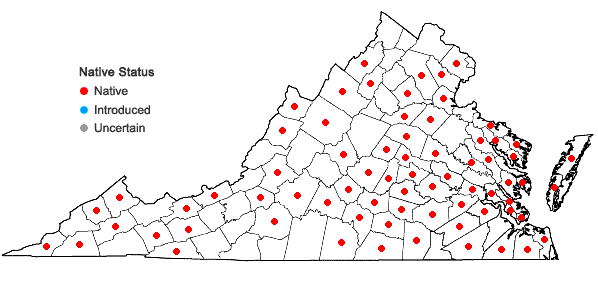 Locations ofLeucobryum albidum (Brid. ex P. Beauv.) Lindb. in Virginia