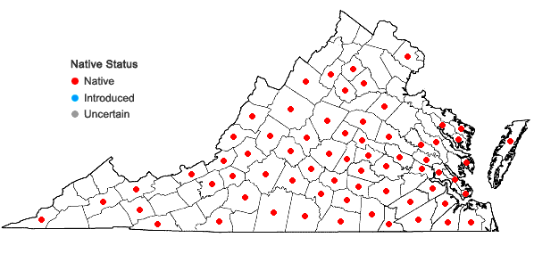 Locations ofLeucodon julaceus (Hedw.) Sull. in Virginia