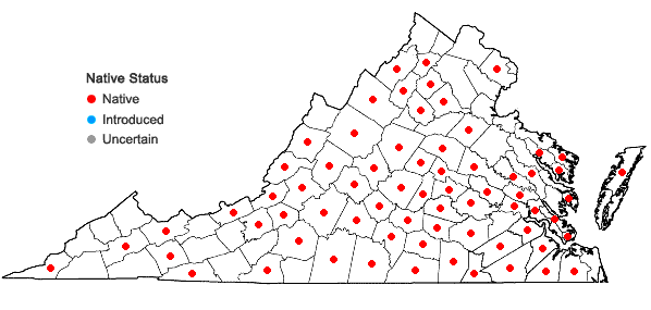 Locations ofLeucodon julaceus (Hedw.) Sull. in Virginia