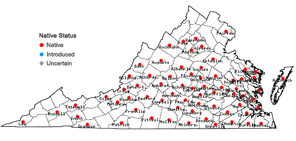 Locations ofLeucodon julaceus (Hedw.) Sull. in Virginia