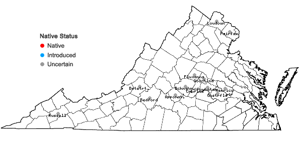 Locations ofLeucospora multifida (Michx.) Nutt. in Virginia