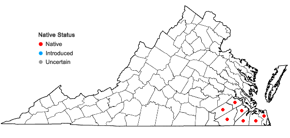 Locations ofLeucothoe axillaris (Lam.) D. Don in Virginia