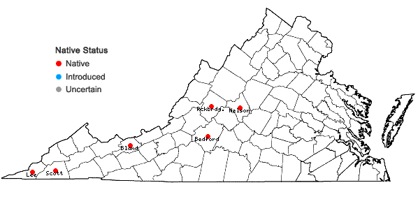 Locations ofLeucothoe fontanesiana (Steud.) Sleumer in Virginia