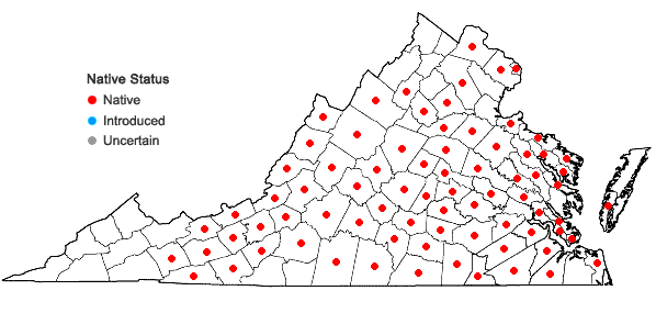 Locations ofLiatris pilosa (Aiton) Willd. in Virginia