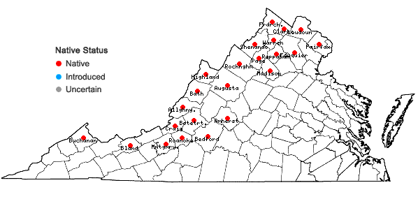 Locations ofLiatris scariosa (L.) Willd. in Virginia