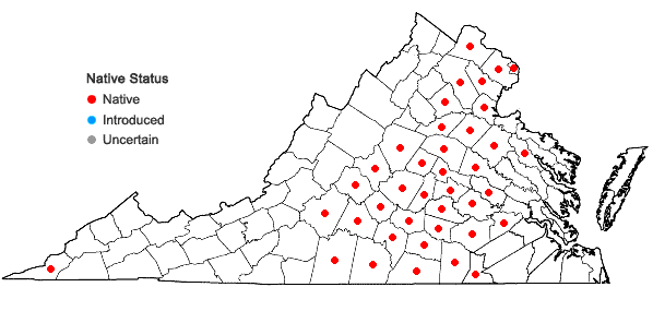 Locations ofLiatris squarrosa (L.) Michx. var. squarrosa in Virginia