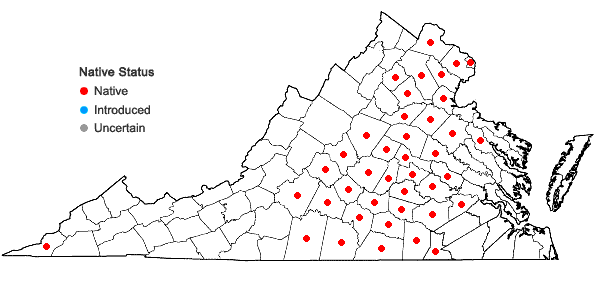 Locations ofLiatris squarrosa (L.) Michx. var. squarrosa in Virginia