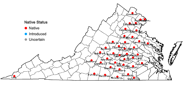 Locations ofLiatris squarrosa (L.) Michx. var. squarrosa in Virginia