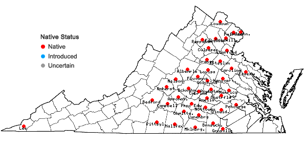 Locations ofLiatris squarrosa (L.) Michx. var. squarrosa in Virginia