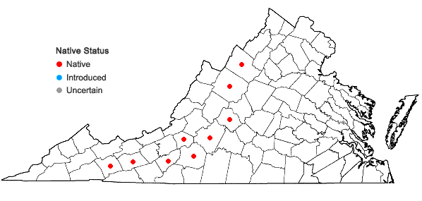 Locations ofLiatris virgata Nuttall in Virginia