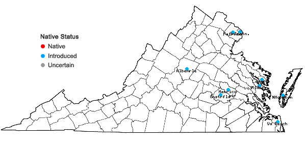 Locations ofLigustrum japonicum Thunb. in Virginia