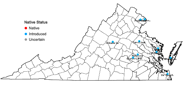 Locations ofLigustrum japonicum Thunb. in Virginia