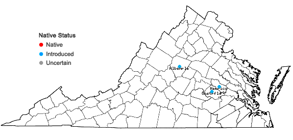 Locations ofLigustrum lucidum W.T. Aiton in Virginia