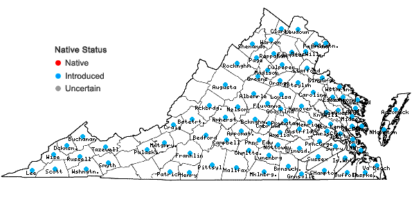 Locations ofLigustrum sinense Louriere in Virginia