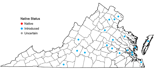 Locations ofLigustrum vulgare L. in Virginia