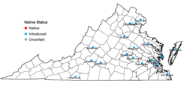 Locations ofLigustrum vulgare L. in Virginia