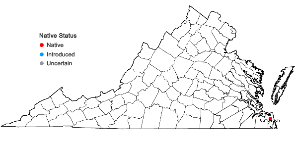 Locations ofLilaeopsis carolinensis Coult. & Rose in Virginia