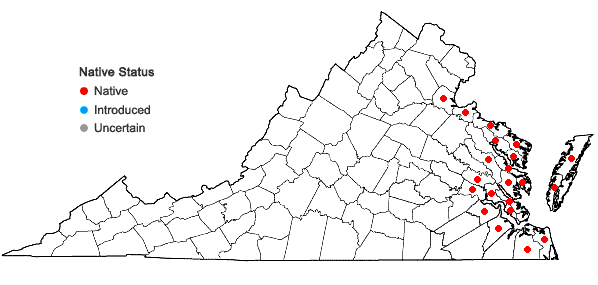 Locations ofLilaeopsis chinensis (L.) Kuntze in Virginia
