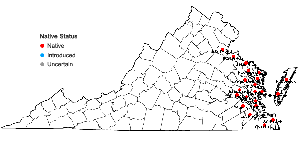 Locations ofLilaeopsis chinensis (L.) Kuntze in Virginia