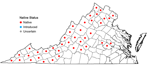 Locations ofLilium canadense L. in Virginia