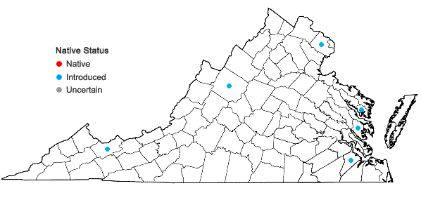 Locations ofLilium lancifolium Thunb. in Virginia