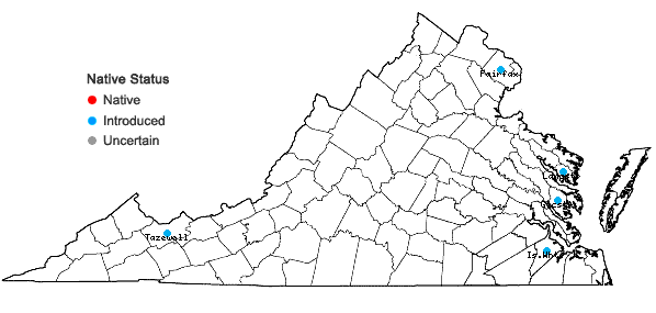 Locations ofLilium lancifolium Thunb. in Virginia