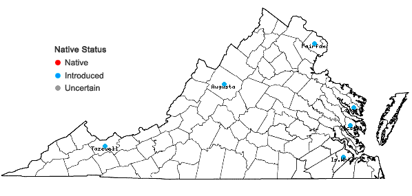 Locations ofLilium lancifolium Thunb. in Virginia