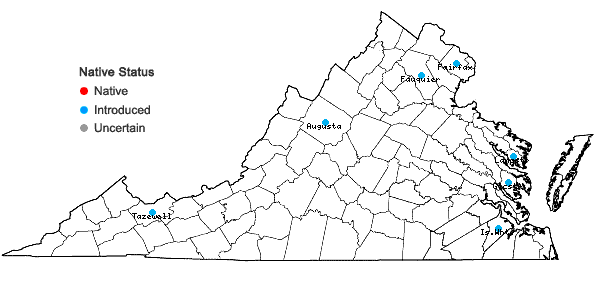 Locations ofLilium lancifolium Thunb. in Virginia