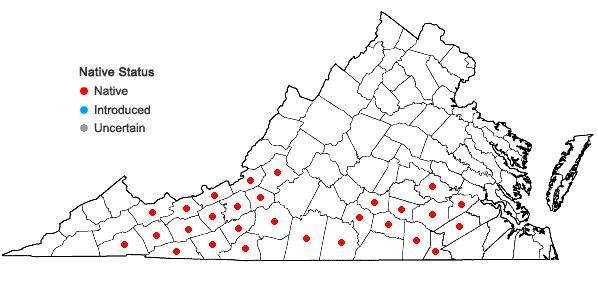 Locations ofLilium michauxii Poir. in Virginia
