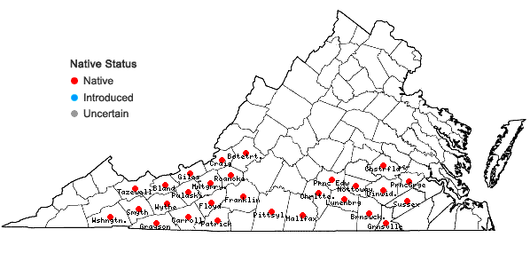 Locations ofLilium michauxii Poir. in Virginia