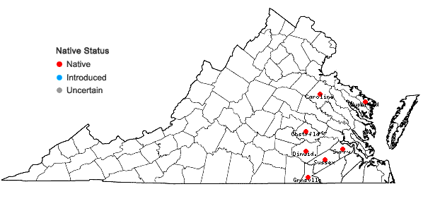 Locations ofLilium pyrophilum M.W. Skinner & Sorrie in Virginia